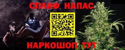 прущие грибы Бийск
