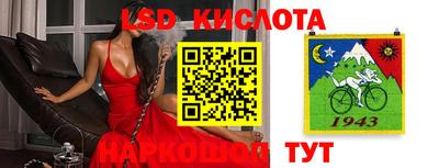 прущие грибы Бийск