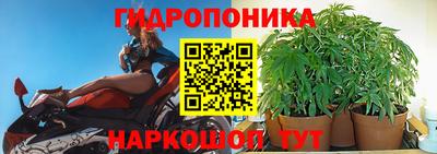 экстази Берёзовский