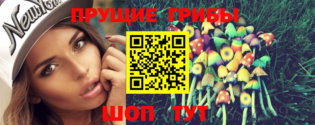 Псилоцибиновые грибы Cubensis Кандалакша