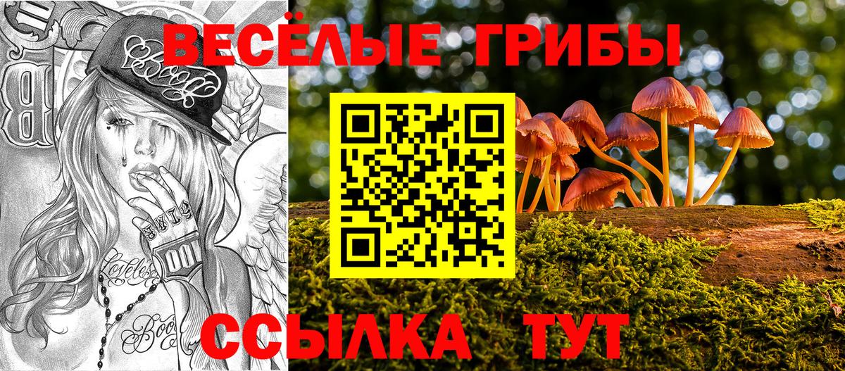 Кандалакша  Псилоцибиновые грибы MAGIC MUSHROOMS  Вход с VPN 